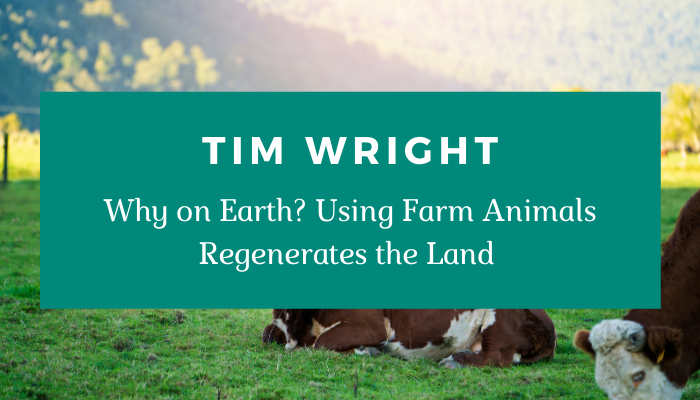 Tim Wright – Why On Earth? Using Farm Animals to Regenerate the Land