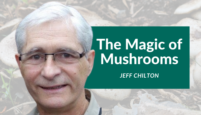 Jeff Chilton – The Magic of Mushrooms