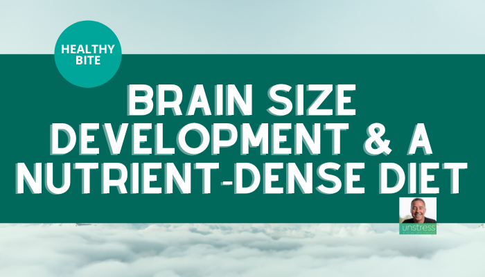 HEALTHY BITE | Brain Size Development & A Nutrient-Dense Diet